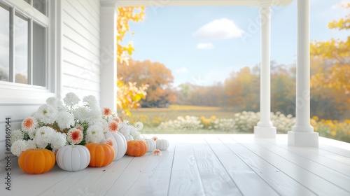 A porch with a view of a field and a white house