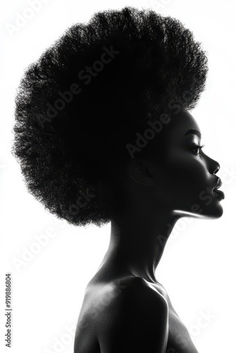 A striking silhouette of a woman with a bold afro hairstyle, her profile captured in high contrast against a white background, emphasizing elegance and strength.