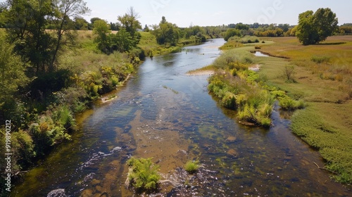 Aerial View of Restored River with Lush Banks and Abundant Wildlife Illustrating Conservation Success