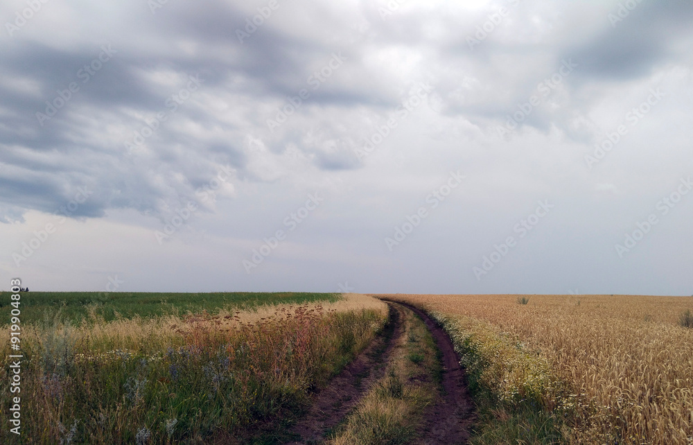 Dirt path winding through fields under a cloudy sky at dusk Dirt path winding through fields under a cloudy sky at dusk