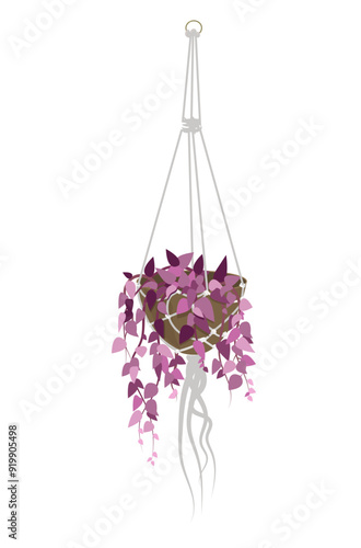 Pink hoseplant in pot hanging white macrame. Scandinavian style, interior decor. Plant for home, office, coffeshop barbershop. Hand drawn handmade home decoration. Vector illustration
