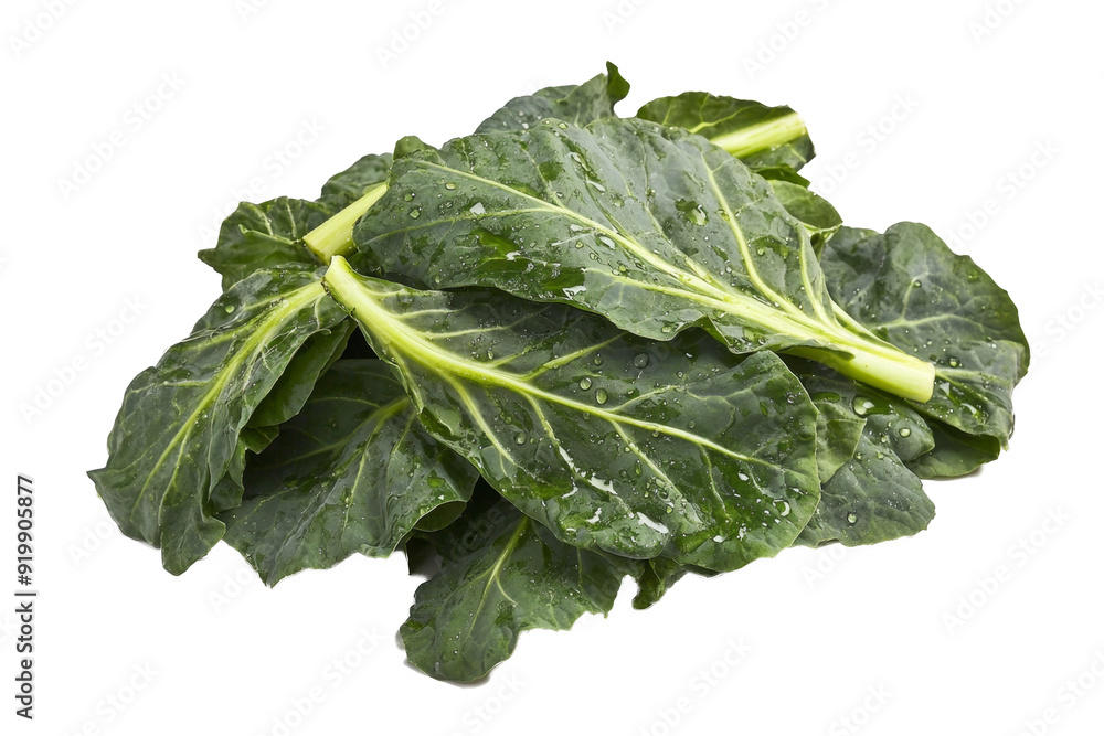 green of bunch leaves separated from white and transparent background green of bunch leaves separated from white and transparent background