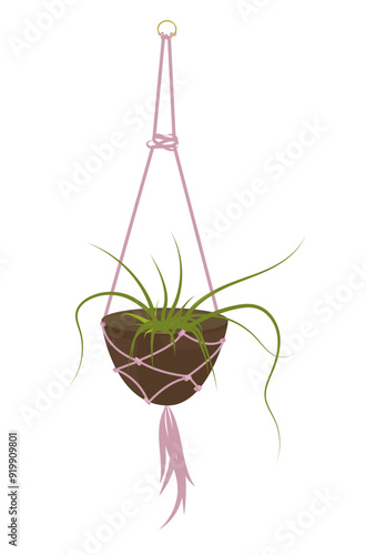 Hoseplant hanging white macrame. Scandinavian style, interior decor. Plant for home, office, coffeshop barbershop.   Vector illustration