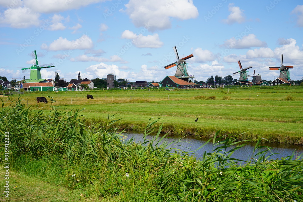 Naklejka premium Green fields and iconic windmills at De Zaanse Schans: A picturesque slice of Dutch countryside where tradition meets natural beauty.