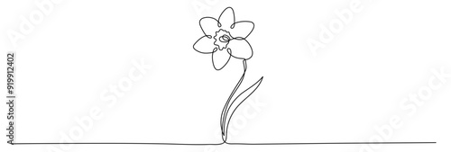 Daffodils one line drawing vector continuous illustration. Editable stroke