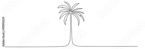 Palm tree vector one line drawing continuous illustration. Editable stroke