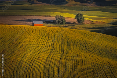 Palouse Washington State