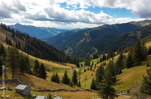 A scenic landscape