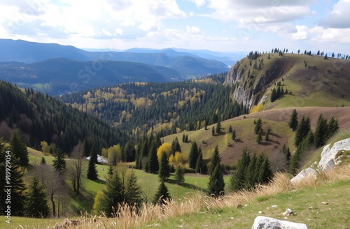A scenic landscape