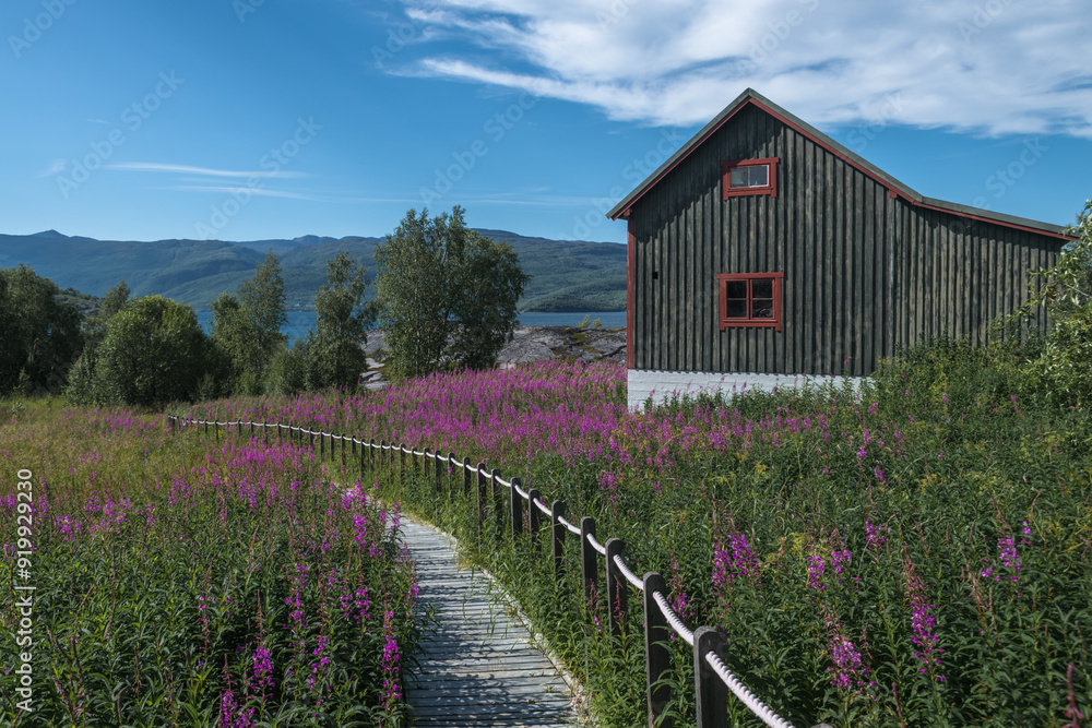 Φωτογραφία Bauernhaus mit Blumenwiese am Altafjord in Norwegen