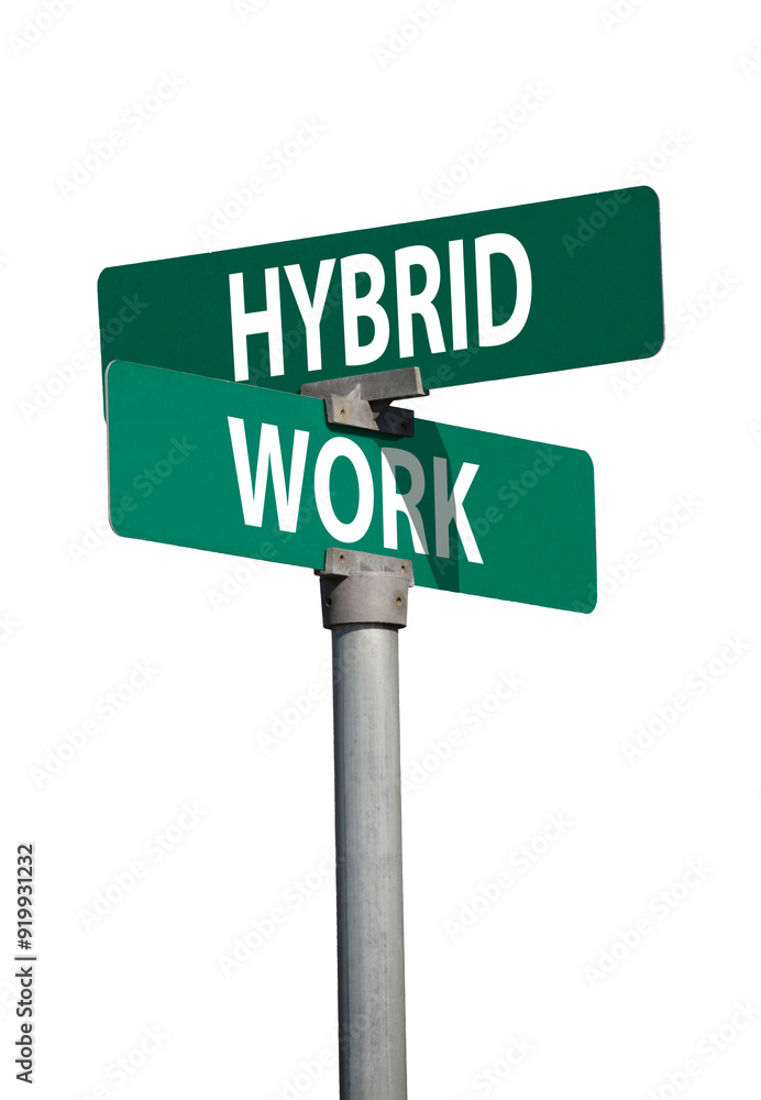 Fototapeta premium hybrid work