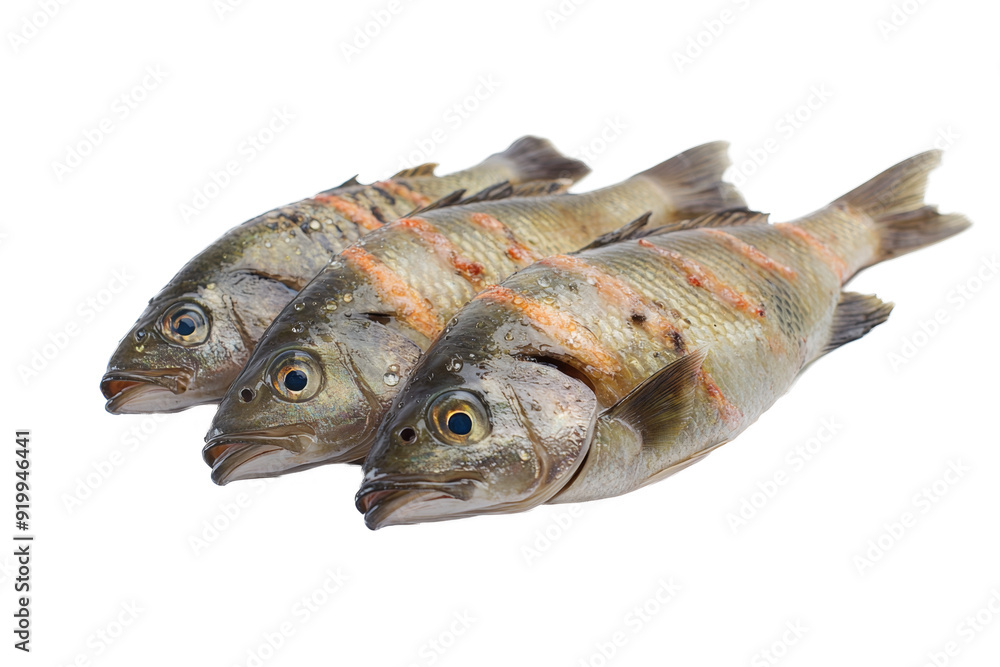 three fish on a white separated from white and transparent background three fish on a white separated from white and transparent background