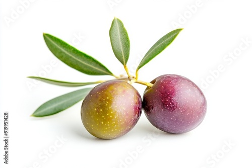 Mystic photo of Arbequina Olive on the vine, isolated on white background