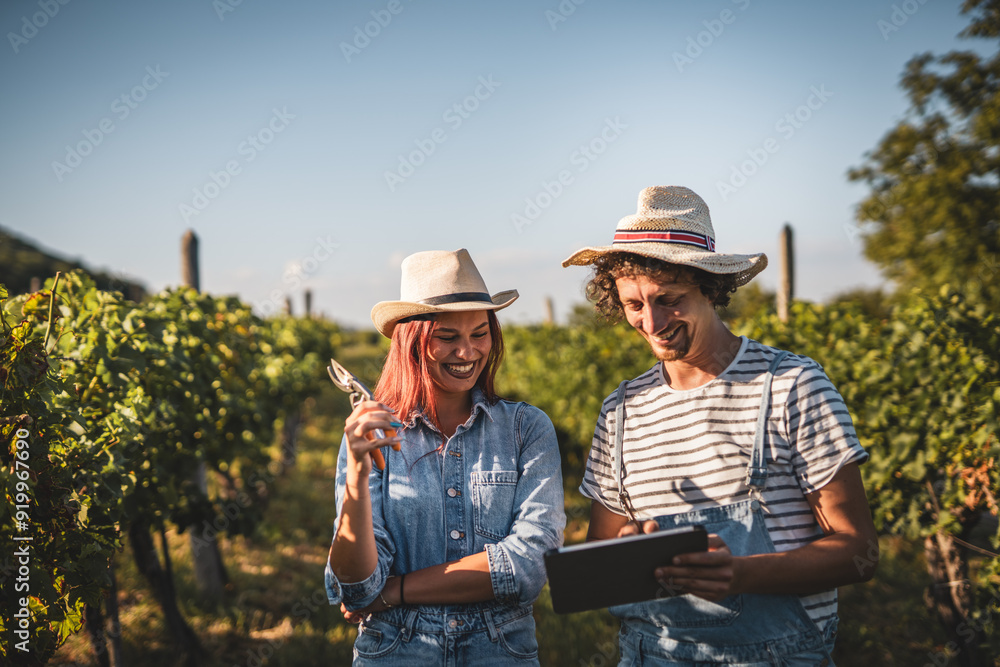 man and woman farmers and analysis quality of leaf in the vineyard man and woman farmers and analysis quality of leaf in the vineyard