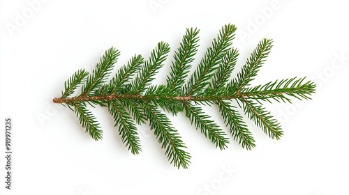 Vibrant green pine branch on a white background, perfect for christmas or nature designs, symbolizing freshness and growth with ample copy space