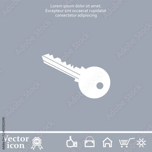 Vector icon of white color on a gray background