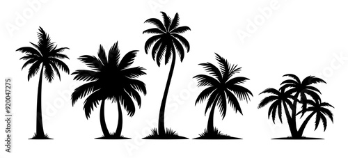 Palm tree black coconut icon. Palmetto beach black summer palm tree hawaii vector icon.