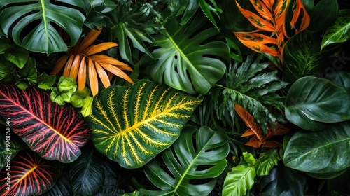 Wallpaper Mural A Lush Arrangement of Tropical Leaves with Varied Colors and Textures Torontodigital.ca