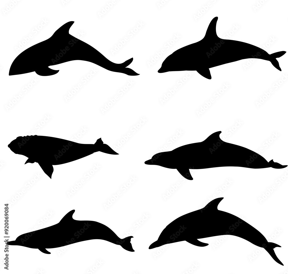 Fototapeta premium silhouettes of dolphin