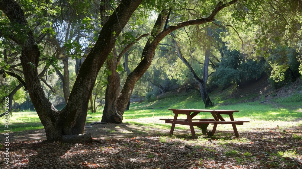 Picnicking under a canopy of trees, with dappled sunlight filtering onto the picnic table. Picnicking under a canopy of trees, with dappled sunlight filtering onto the picnic table.
