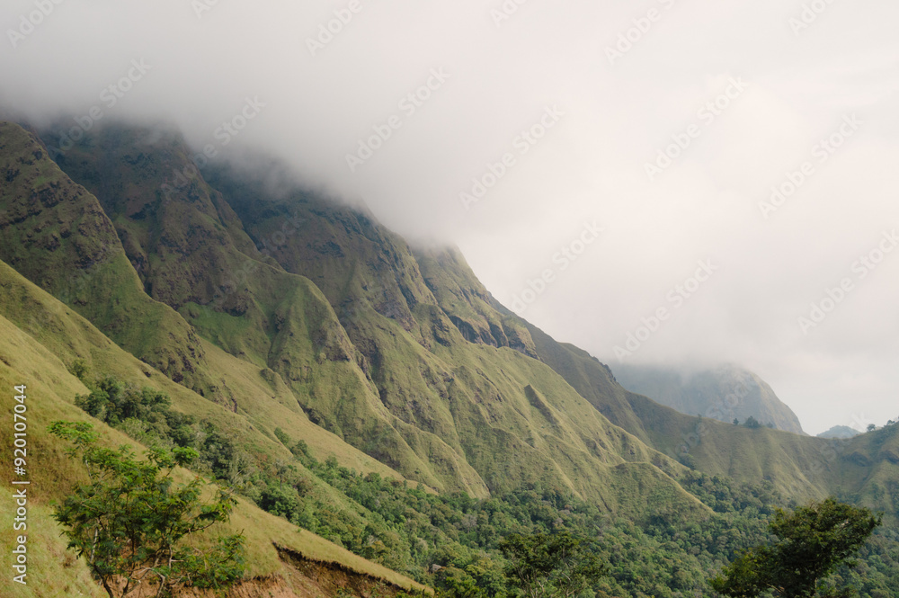 scenic background with green hills of trees with clear blue sky scenic background with green hills of trees with clear blue sky