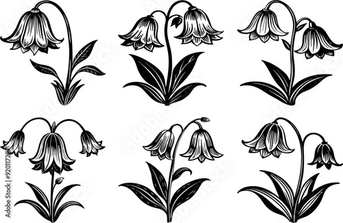 A Collection of Black and White Vector Bluebell Flower Floral Transparent Background Set With Swirl Leaves.