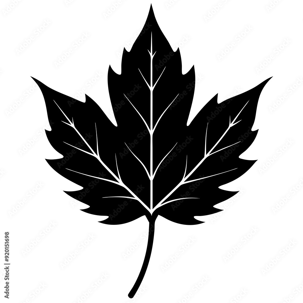 leaf isolated on white, leaf vector illustration, autumn vector art, leaf silhouette, thanksgiving vector icon, autumns cartoon line art, eps leaf isolated on white, leaf vector illustration, autumn vector art, leaf silhouette, thanksgiving vector icon, autumns cartoon line art, eps