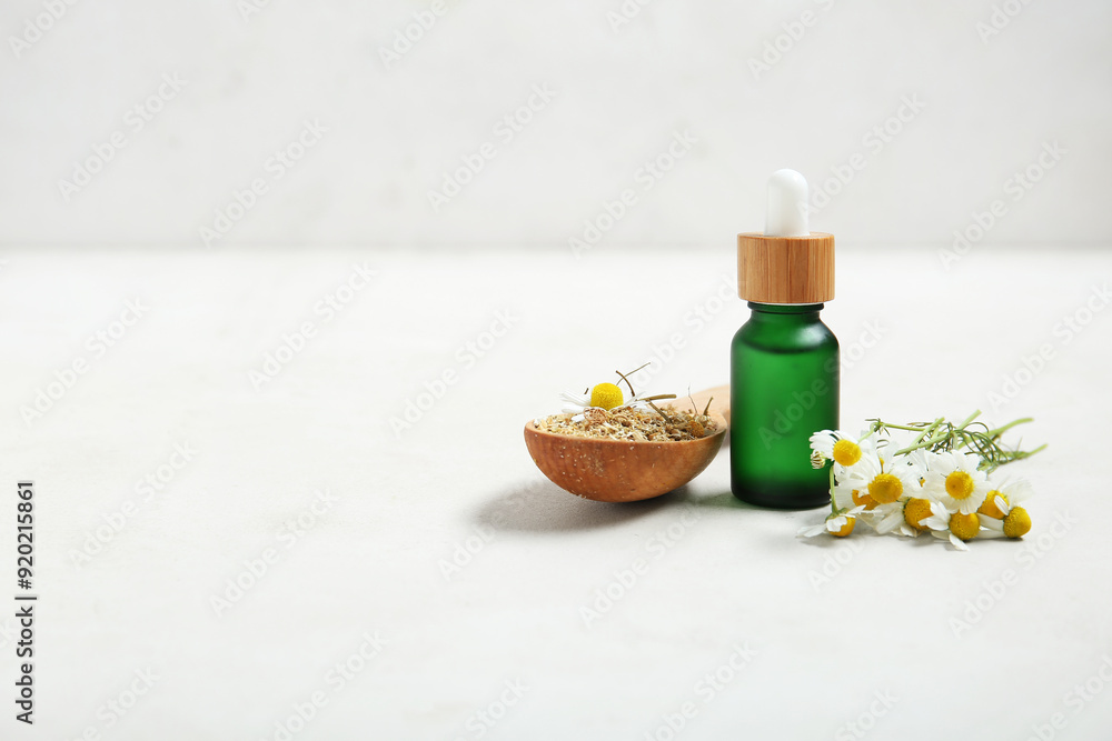 Bottle of essential oil, fresh and dried chamomile flowers on light background Bottle of essential oil, fresh and dried chamomile flowers on light background
