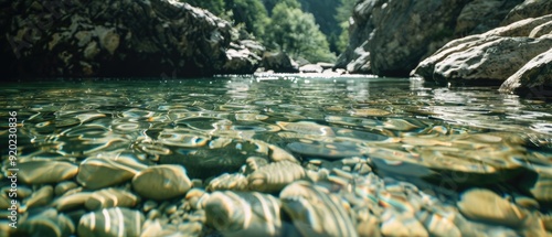 Clear, shallow water in a rocky riverbed with light reflecting on the surface.