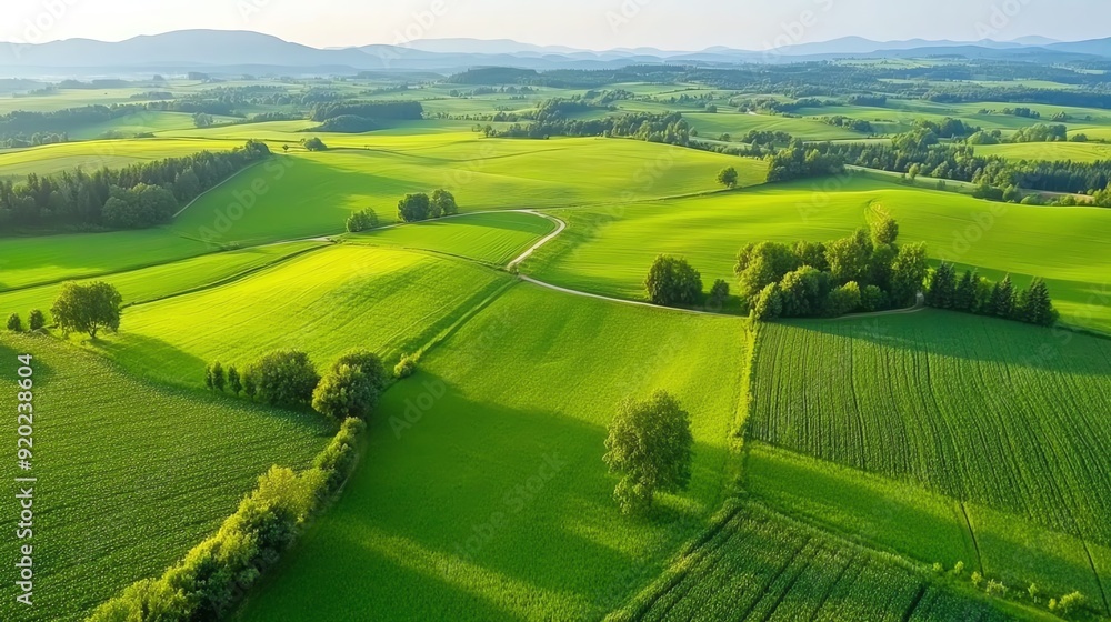 Fototapeta premium Stunning aerial view of lush green fields with rolling hills under clear skies, showcasing the beauty of rural landscapes.