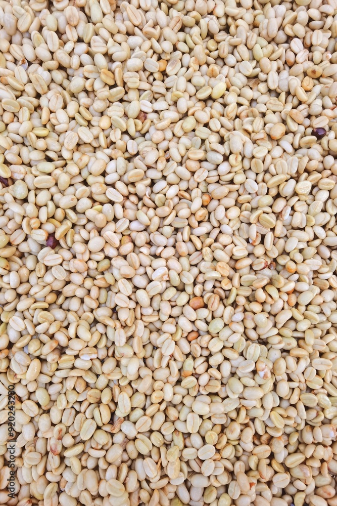 Close up of coffee beans for background Close up of coffee beans for background