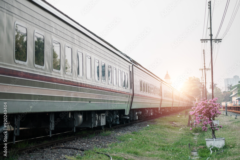Fototapeta premium A modern passenger train moving through a rural area at sunset, with blooming flowers and power lines in the background.