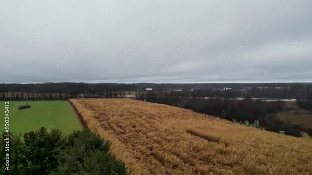 Drone shot of a winter field with green and brown crops, framed by trees under a cloudy sky. Drone shot of a winter field with green and brown crops, framed by trees under a cloudy sky.