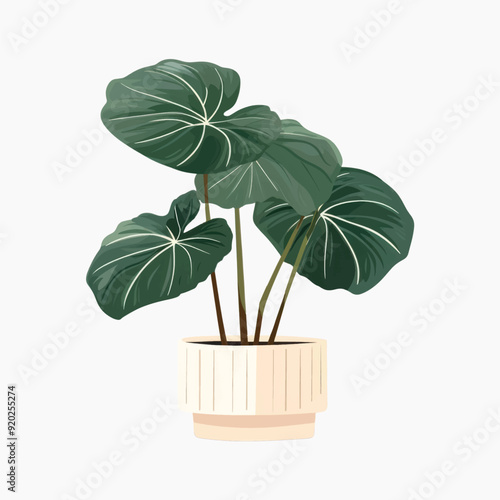 Elegant potted plant illustration