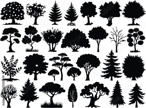 Vector Palm tree silhouette icons set