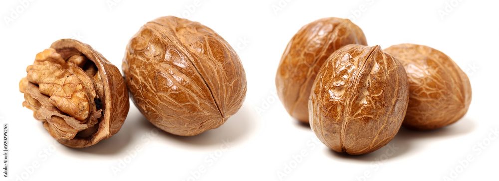 walnuts on a white background walnuts on a white background