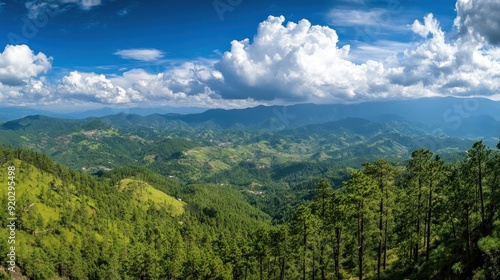 Lush Green Forest and Distant Mountain Range Under a Blue Sky with Puffy Clouds