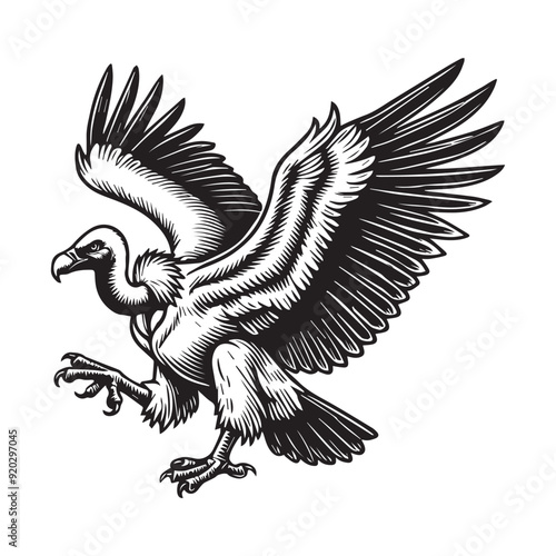 Vulture silhouette, Vulture Bird clipart, A vulture with wings partially spread illustration 