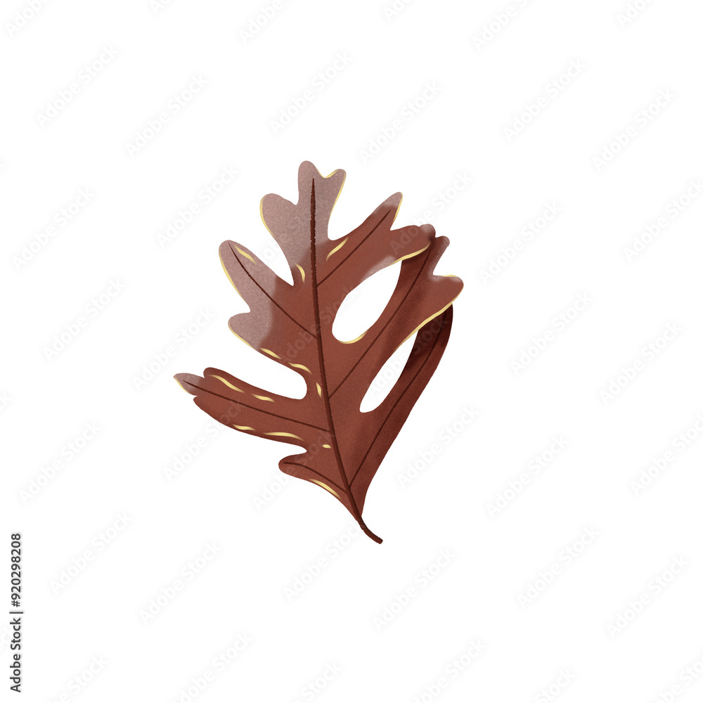 Obraz premium leaf isolated on white background