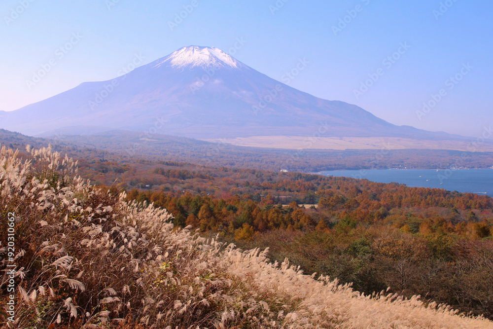Naklejka premium 山中湖村 パノラマ台から見た富士山