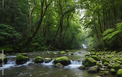 waterfall in the forest
