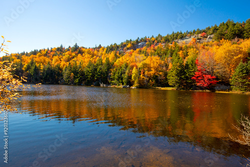 Vibrant fall foliage along the shoreline of Lake Solitude.