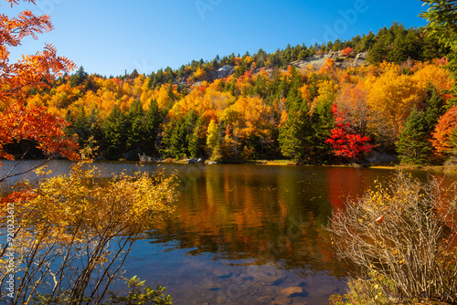 Vibrant fall foliage along the shoreline of Lake Solitude.