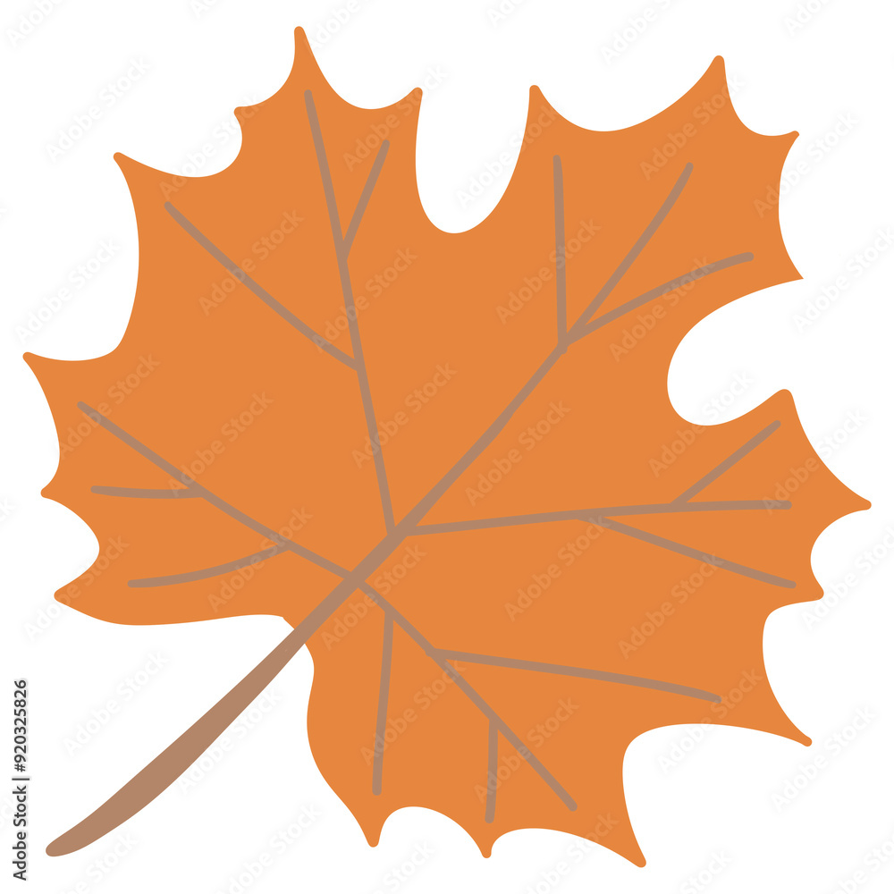 Fototapeta premium Hand drawn autumn maple leaf