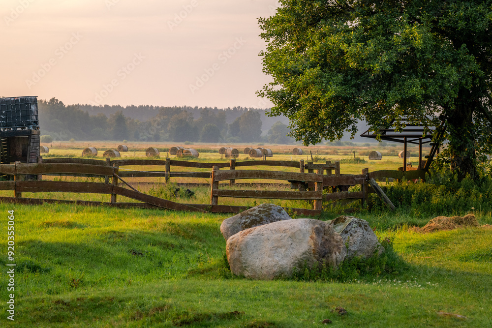 Rural landscape with a large beautiful tree, stone boulders and a wooden fence. Bales of hay in the background