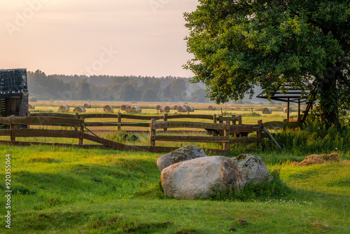 Obraz na płótnie Rural landscape with a large beautiful tree, stone boulders and a wooden fence. Bales of hay in the background w salonie