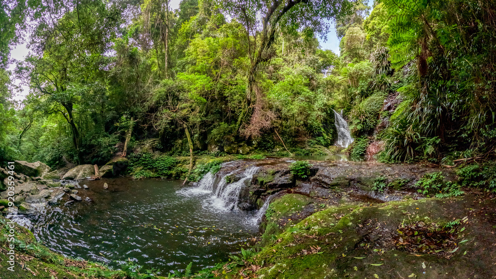 Fototapeta premium Elabana Falls, a secluded waterfall in Lamington National Park, Queensland, is a lush, rainforest retreat along the Toolona Creek circuit, Australia