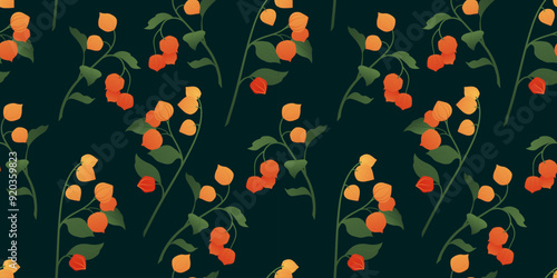 Floral seamless pattern on a dark background. Vector illustration of a plant with gradients. Physalis flower. photo