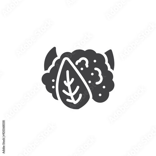 Whole cauliflower vector icon