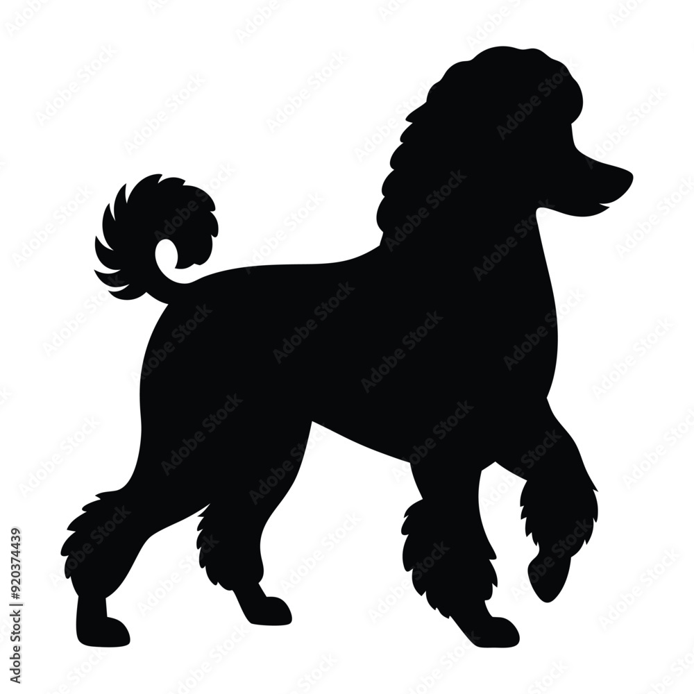 Illustration of Walking Poodle dog silhouette isolated Illustration of Walking Poodle dog silhouette isolated